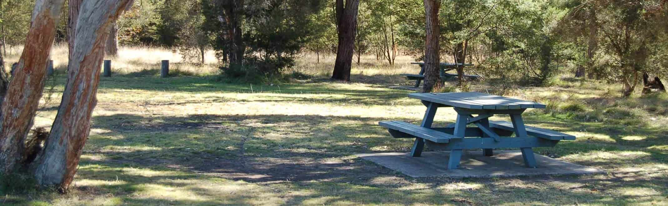 Hunter Valley picnic area