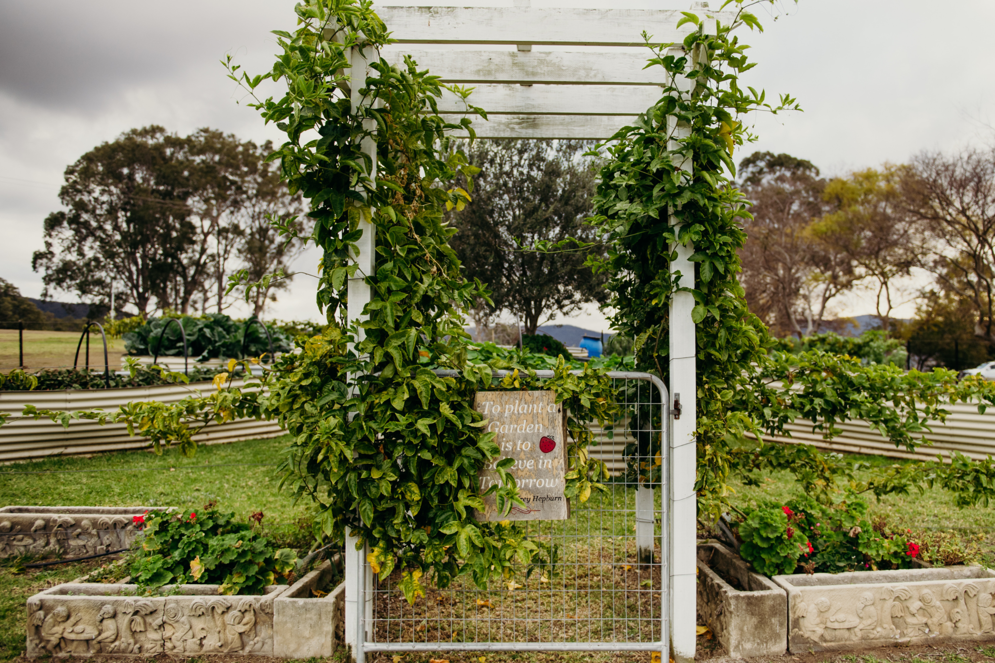 The kitchen garden at voco Kirkton Park