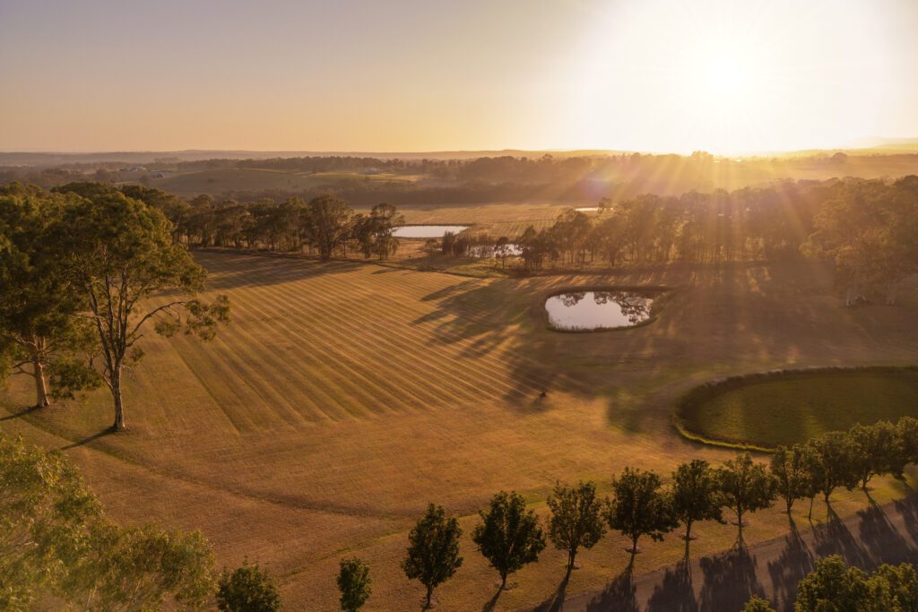 Tree-lined driveway at voco Kirkton Park in Pokolbin, Hunter Valley, at sunset